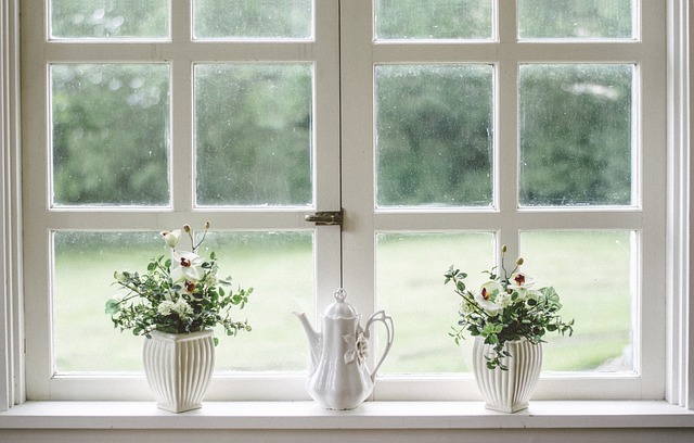 White-paned window with a decorative frame and plants on the windowsill, illustrating CNC-machined window casing and frame components.
